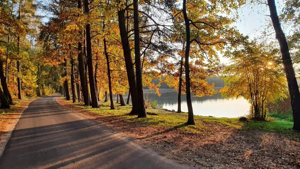 Jezioro Trzechowskie: Odkryj tajemnice i atrakcje tego miejsca Jezioro Trzechowskie: Odkryj tajemnice i atrakcje tego miejsca