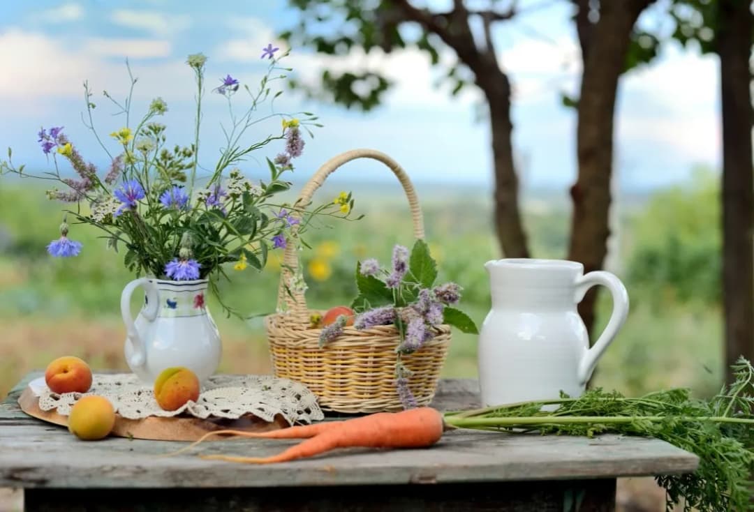 Agroturystyka czy warto? Odkryj prawdziwe korzyści i pułapki
