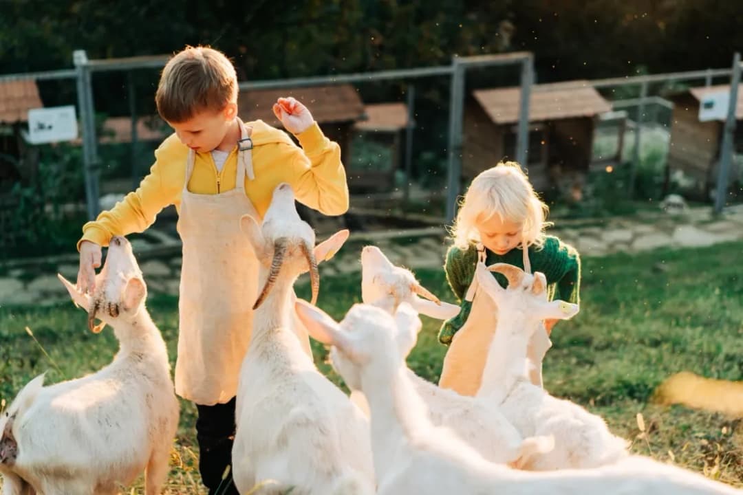 Jak pozyskać fundusze unijne na agroturystykę i uniknąć błędów