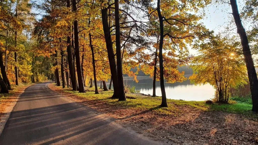 Jezioro Trzechowskie: Odkryj tajemnice i atrakcje tego miejsca