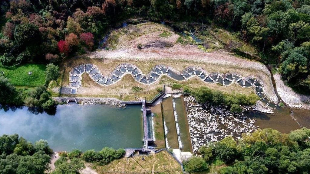 Jezioro Zemborzyckie w Lublinie – idealne miejsce na relaks i rekreację